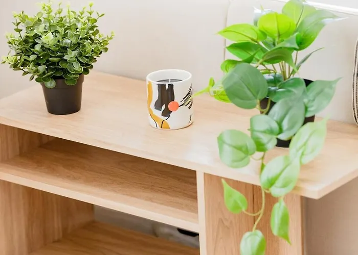 Clérigos Loft 111 Collection *